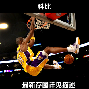 本科文凭造假